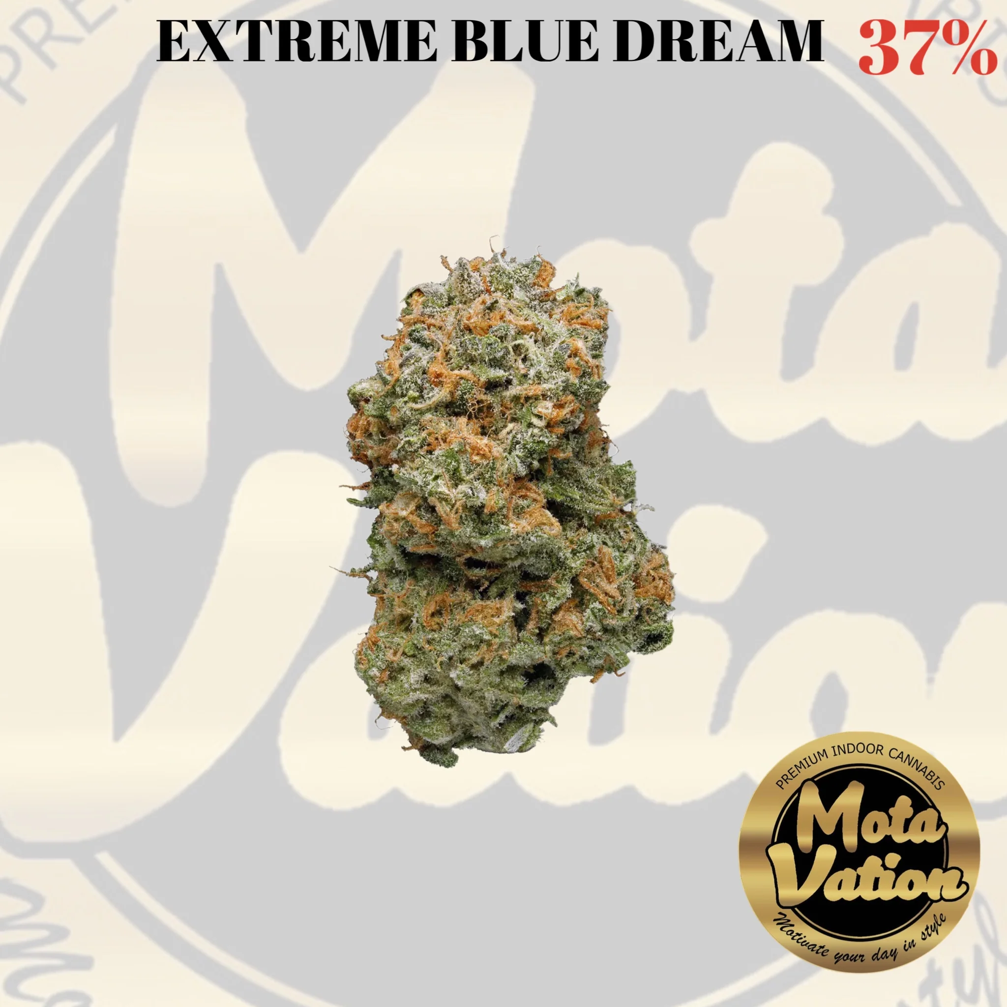 Sativa